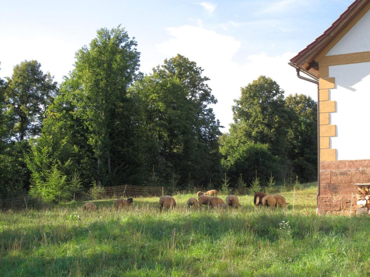 Holiday Home Dolni Olesnice By Interhome Horni Olesnice Kültér fotó
